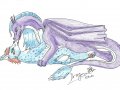 mazli0001.jpg